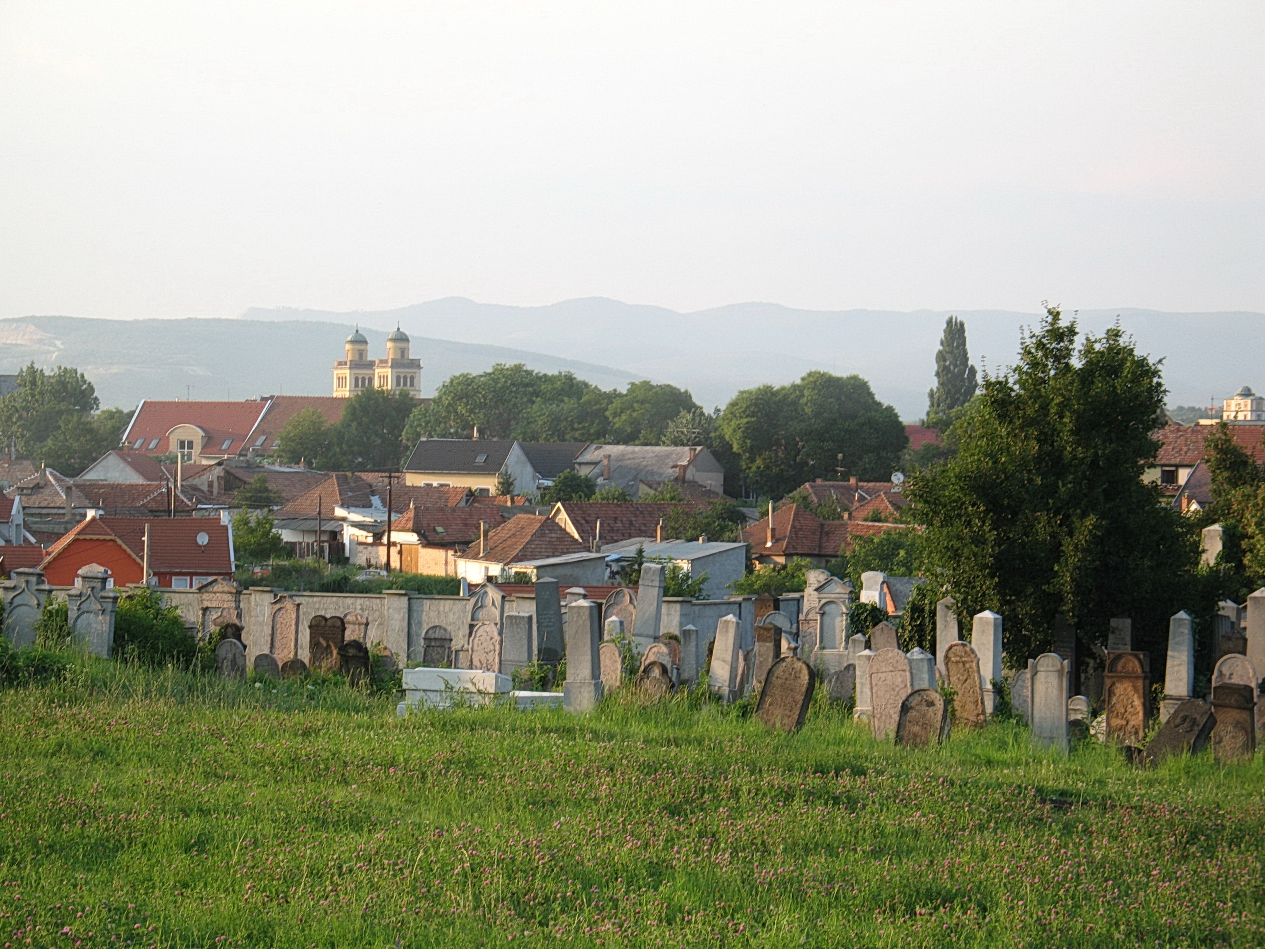 http://varhegyi-family.net/Gabor/Hungary/Tombstones_Eger/Eger_Jewish_cemetery_3.jpg